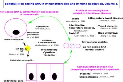 Editorial: Non-coding RNA in immunotherapies and immune regulation